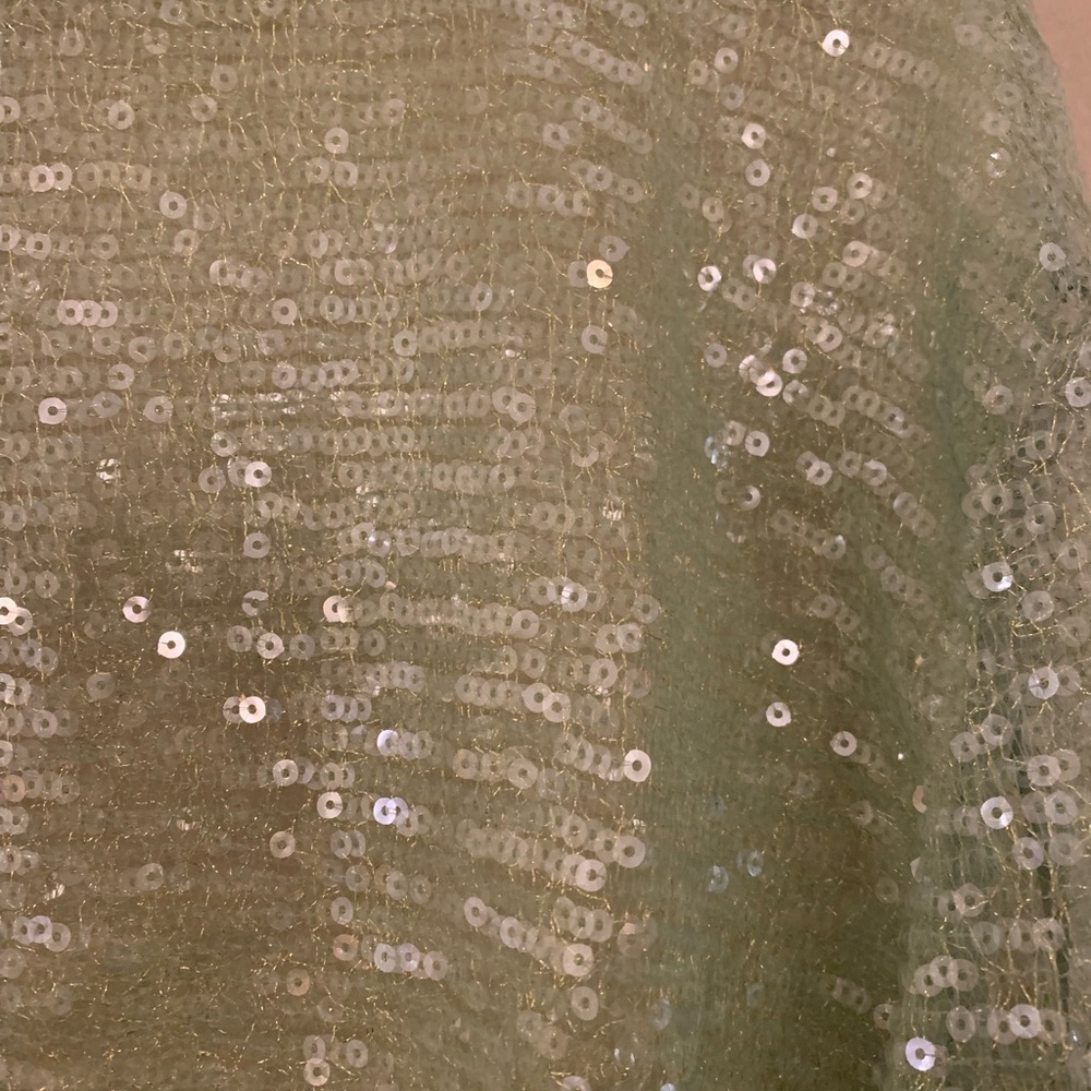 NWT Sequin Crop Top - Picture 3 of 6